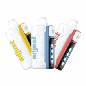 ADJUST MYCOOL DISPOSABLE VAPE | 40000 PUFFS | 5 CT