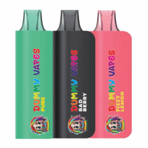 DUMMY VAPES DISPOSABLE 8000 PUFFS | 5 CT