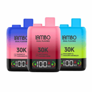LAMBO DUAL FLAVORS DISPOSABLE | 30,000 PUFFS | 5 CT