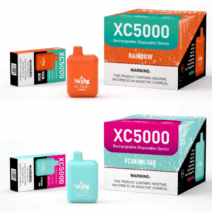 EB POD KING | 5000 PUFFS | 10 CT