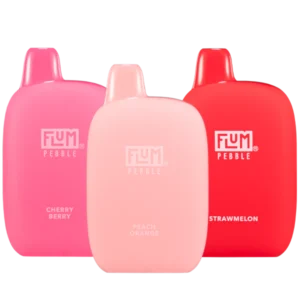 FLUM PEBBLE 6000 PUFFS | 10 CT